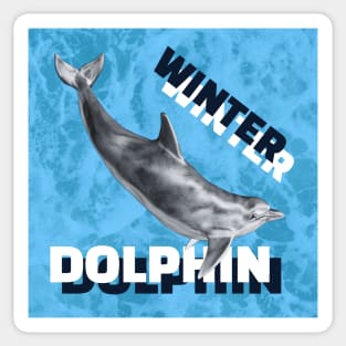 WINTER DOLPHIN Sticker